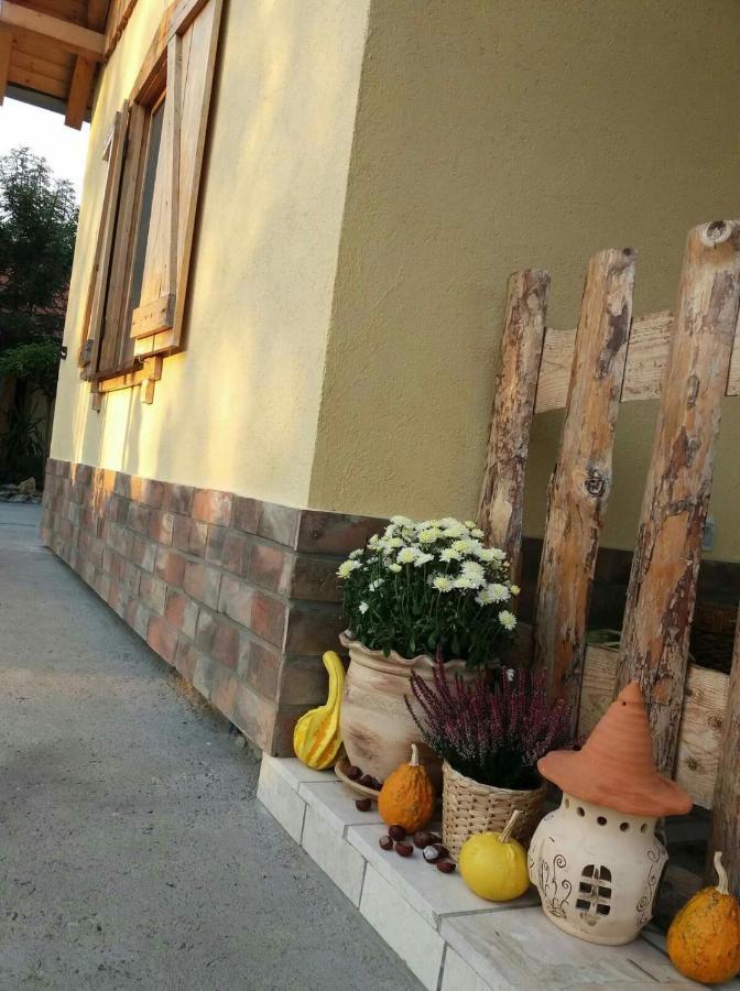 Rita Apartman & Studio Зренянин Экстерьер фото